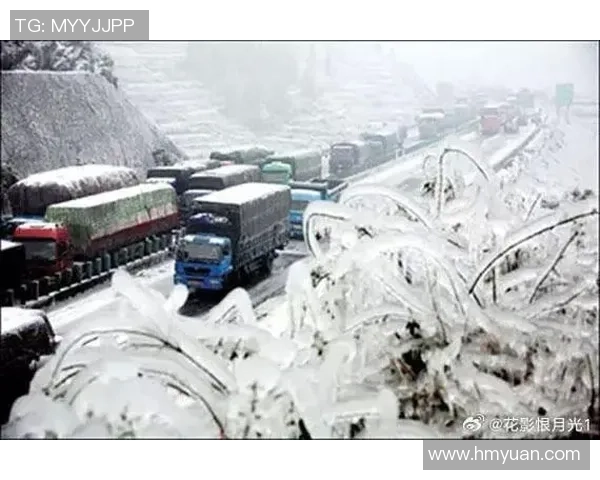 江苏人抓住温暖阳光的最后时光周末将迎来寒潮降温考验